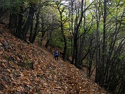 Nel bosco prima di ritornare a Cicogna